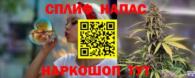 гашик Балахна