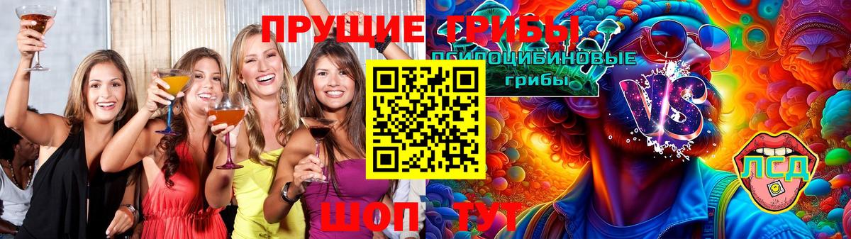 Галлюциногенные грибы Cubensis  Вход с VPN  Великий Новгород 